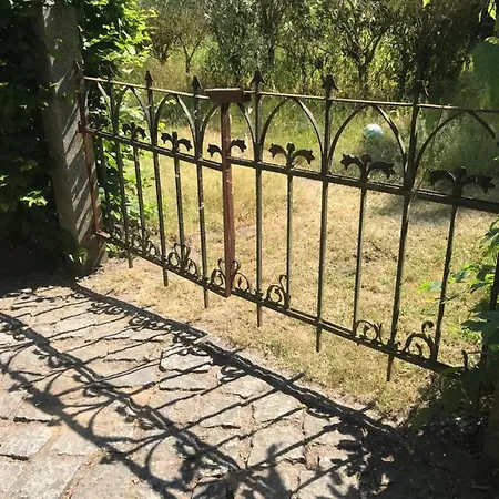 Gemuetliche Ferienwohnung An Der Elbe Bleckede Exterior foto