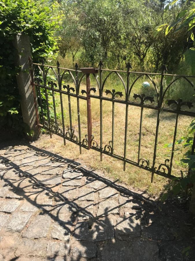 Appartement Gemuetliche An Der Elbe